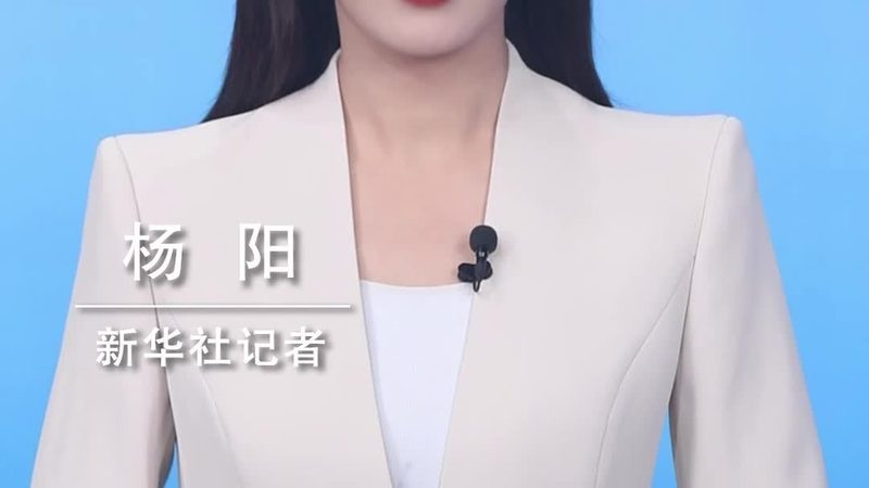云服务器与物理机：扩展性差异解析